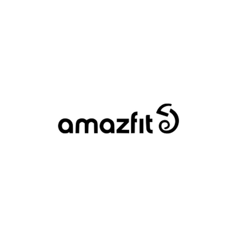 Service GSM Amazfit Falcon