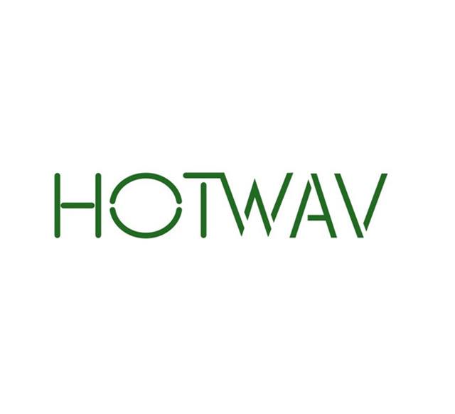 Service GSM HOTWAV CYBER 9 Pro