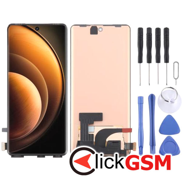 Fix Display Vivo X100