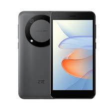 Service ZTE Express 60